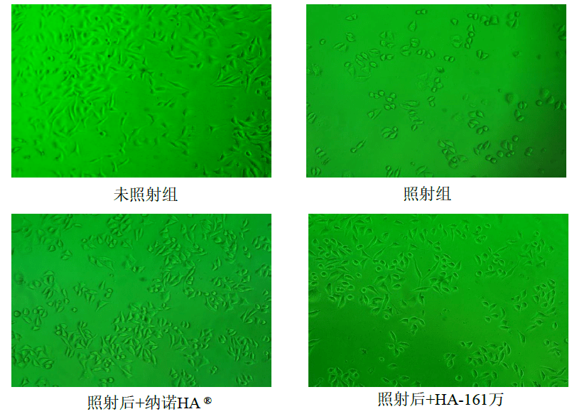 肌肤|嫩到掐出水！用一次比敷100片面膜还白润，10分钟感受女星同款水光肌！