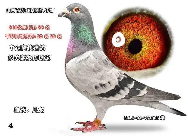 8ac5d6fb31b5424aba31a4e5ea7e8d32.jpeg