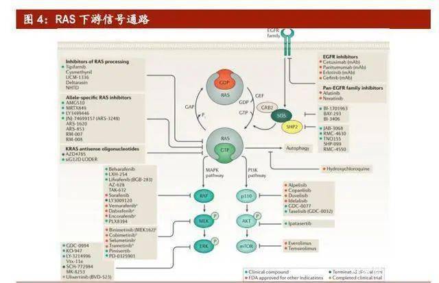 gtp和gdp分别是什么意思_马的标志是什么车(2)