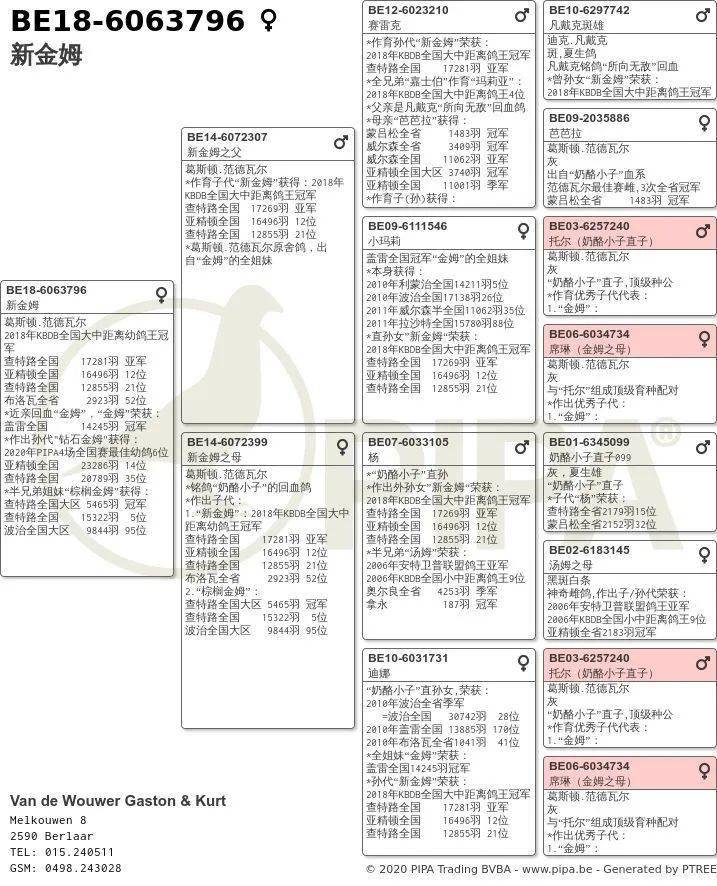 奶酪清棚,新金姆1000多万欧,超越"阿曼多"记录!