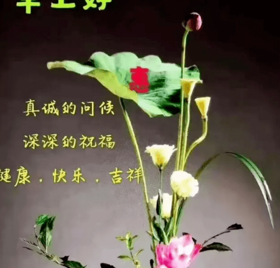 珍惜缘分,快乐到老!