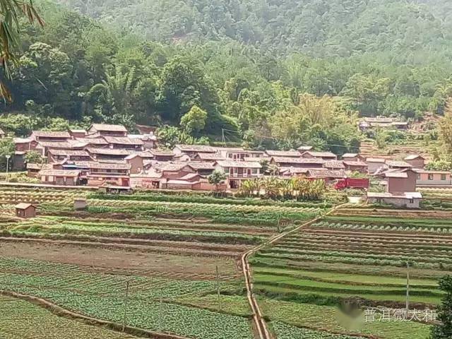 振太镇紫马街"银刀"爷