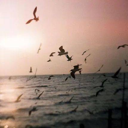 怎样才算是真正的享受人生 f8595308cb29483e933257b6307da4ea.jpeg