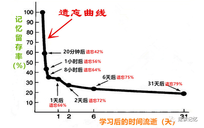 如何根据"遗忘曲线/规律"安排学习和复习,提高记忆效率?