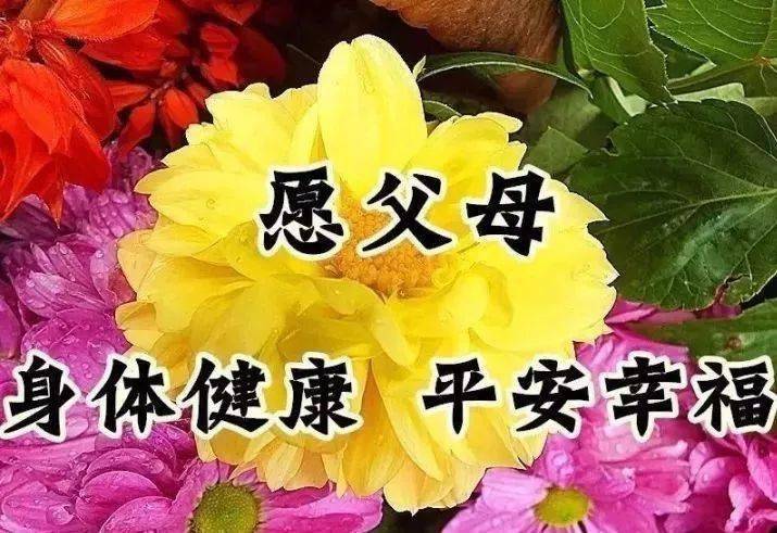 今日立冬祝福送上幸福快乐永远健康