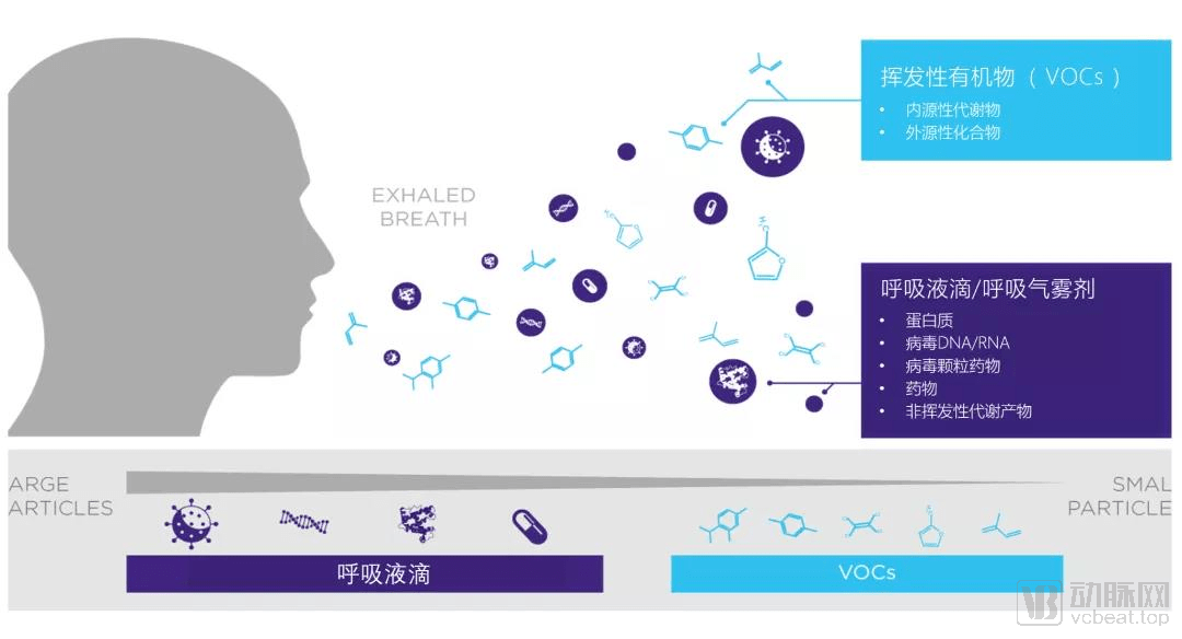 代谢|呼气检测：从辨味识病到代谢组分析的标准化之路