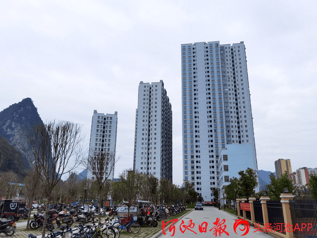 九龙有多少人口_九龙拉棺纹身(3)