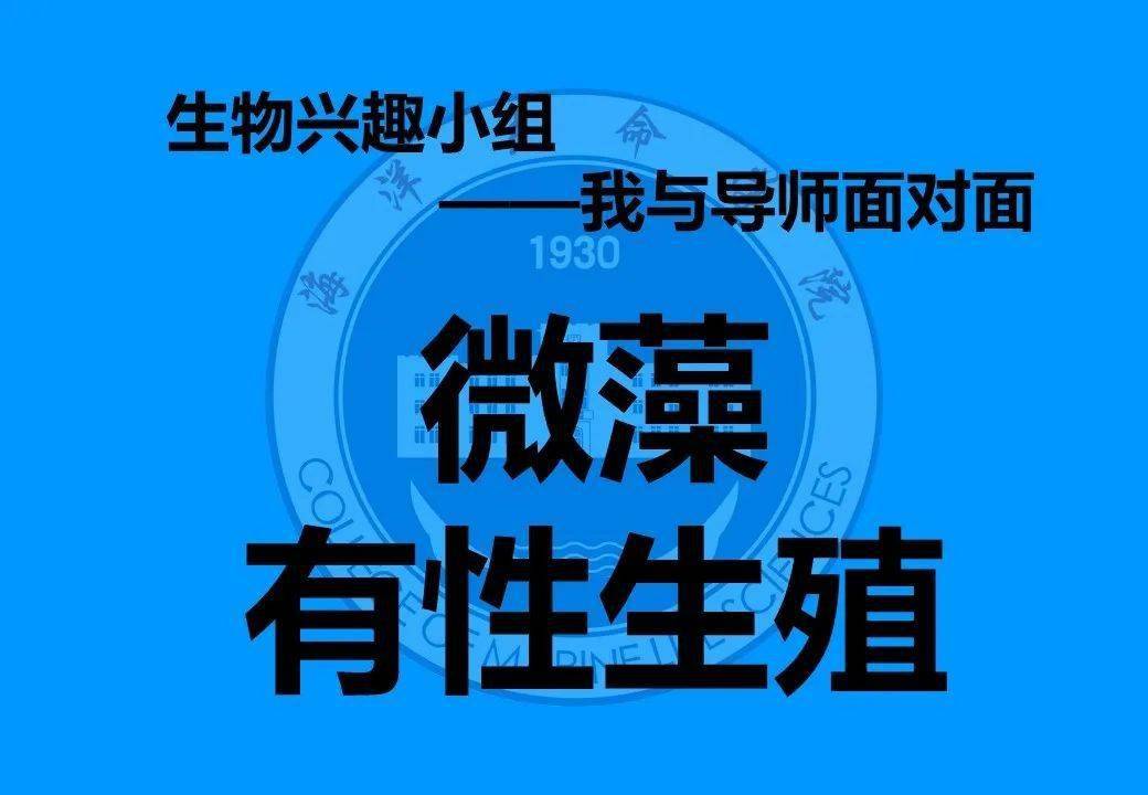 点对点面对面类似词 2e7fb49d00d0442cb1d56b05c05a472b.jpeg