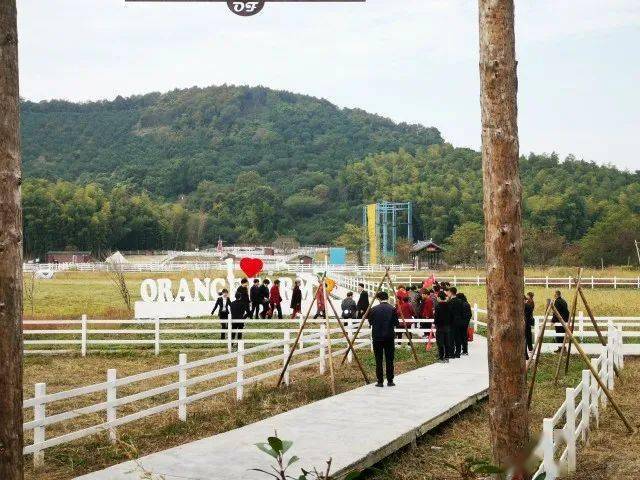 竹林步道,宽塘古镇,桔子采摘,海宁尖山最美秋景尽收眼底