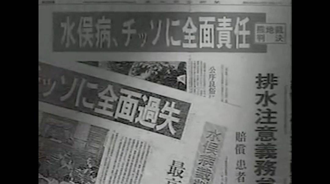 水俣病受到了全世界的瞩目,不过直到1982年日本政府才承认水俣病与