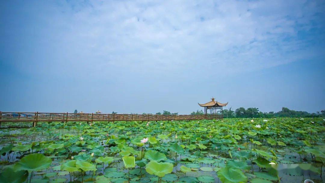 守住绿色底线助推高质量发展安徽省湾沚区河湖长制试点试出新面貌