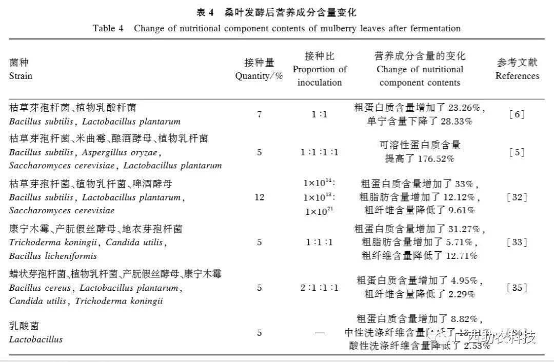 发酵桑叶的营养价值提高明显(比一般牧草高很多),在畜禽养殖上运用