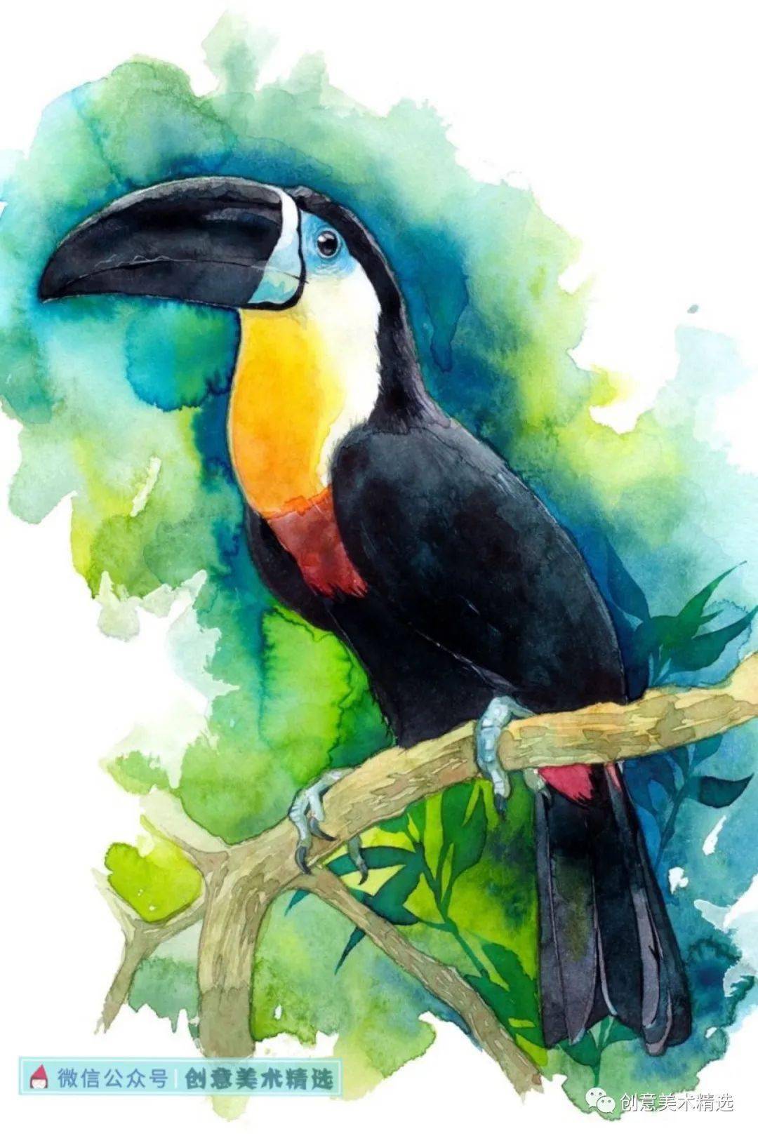 色彩临摹素材可爱的大嘴鸟创意手绘作品