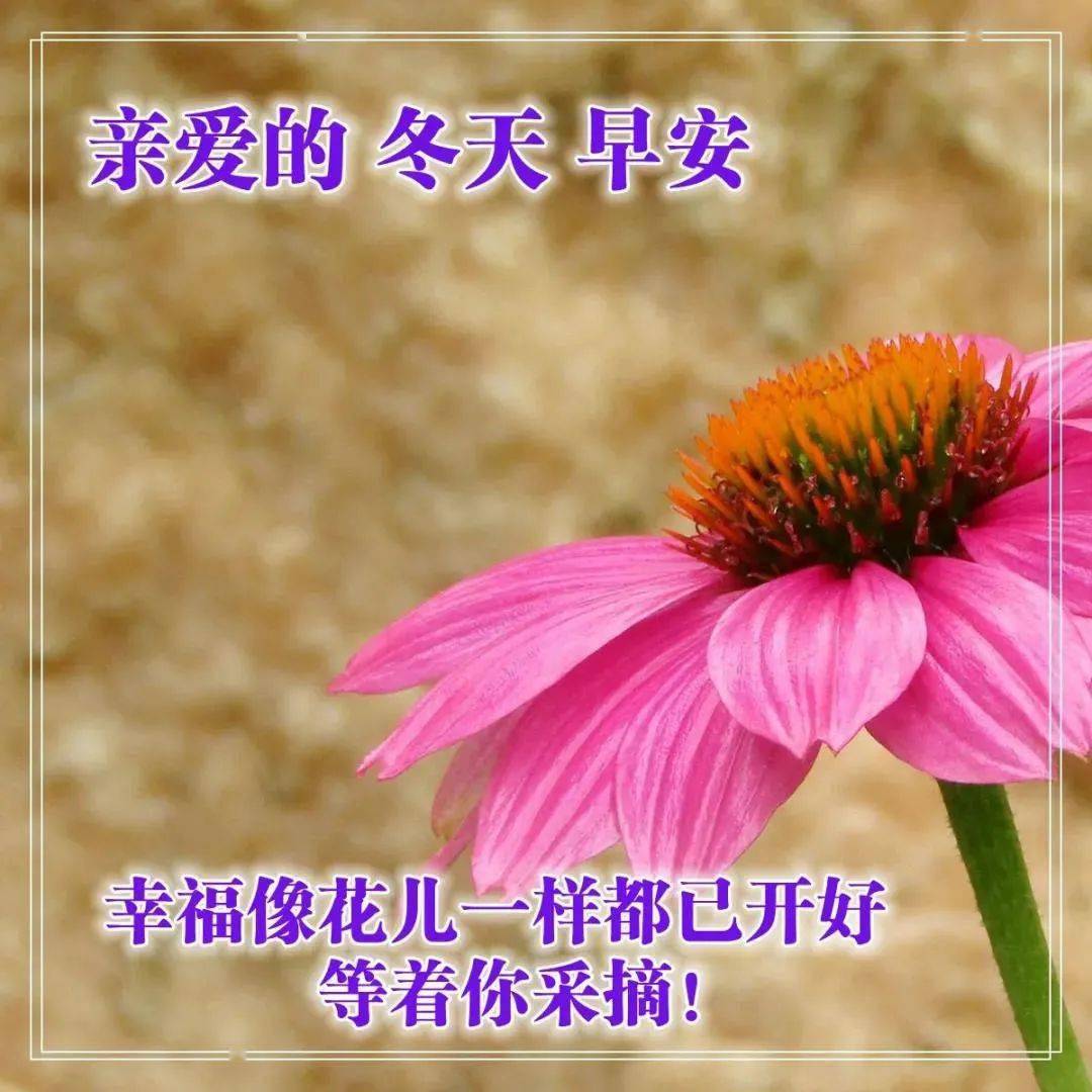 最新版的早上好问候语 39717bafac294a358331f2f249f15a7d.jpeg