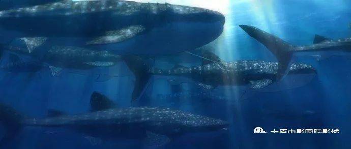 紫鱼之梦,深邃寓意与心灵探索的神秘之旅 紫鱼之梦,深邃寓意与心灵探索的神秘之旅