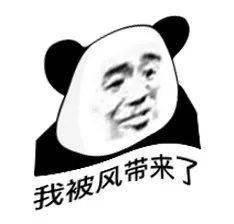 5e97bddde0654c40b33a2131d39671c1.jpeg