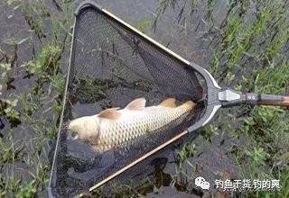 什么时间钓鱼钓岸边 71fc96aa13424315b5c9429c08fe84e7.jpeg