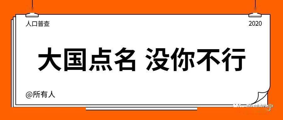 怎么支持人口普查_人口普查绘画怎么画(3)