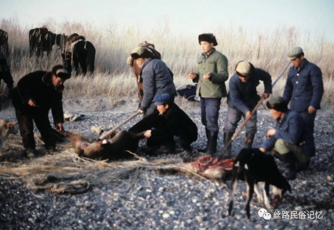 图说新疆传统生产生活方式(20):锡伯族人的冬猎