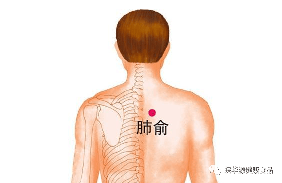 定位:第7颈椎棘突下凹陷中. 作用:改善咳嗽,肩背痛,风疹等问题.