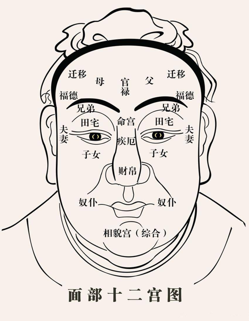 面相学你的脸上有阴德纹吗