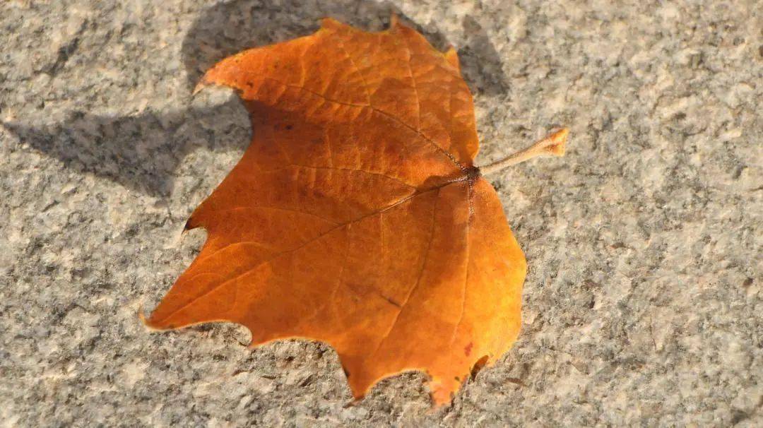 
新媒体中心开展单反相机使用技术培训“AG亚娱集团”(图5)