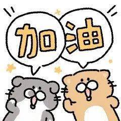 莆田市|高考体检要在1月31日前完成！可去这7家医院→@厦门高考生