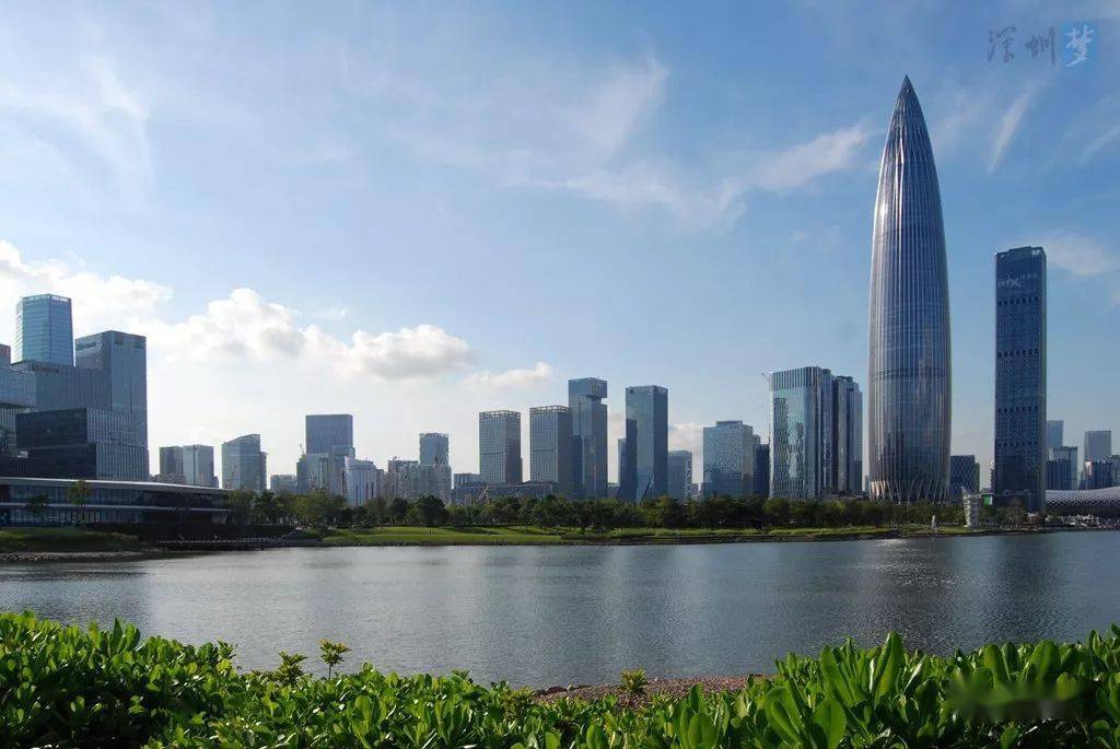 南山区2020gdp_深圳南山区图片(2)