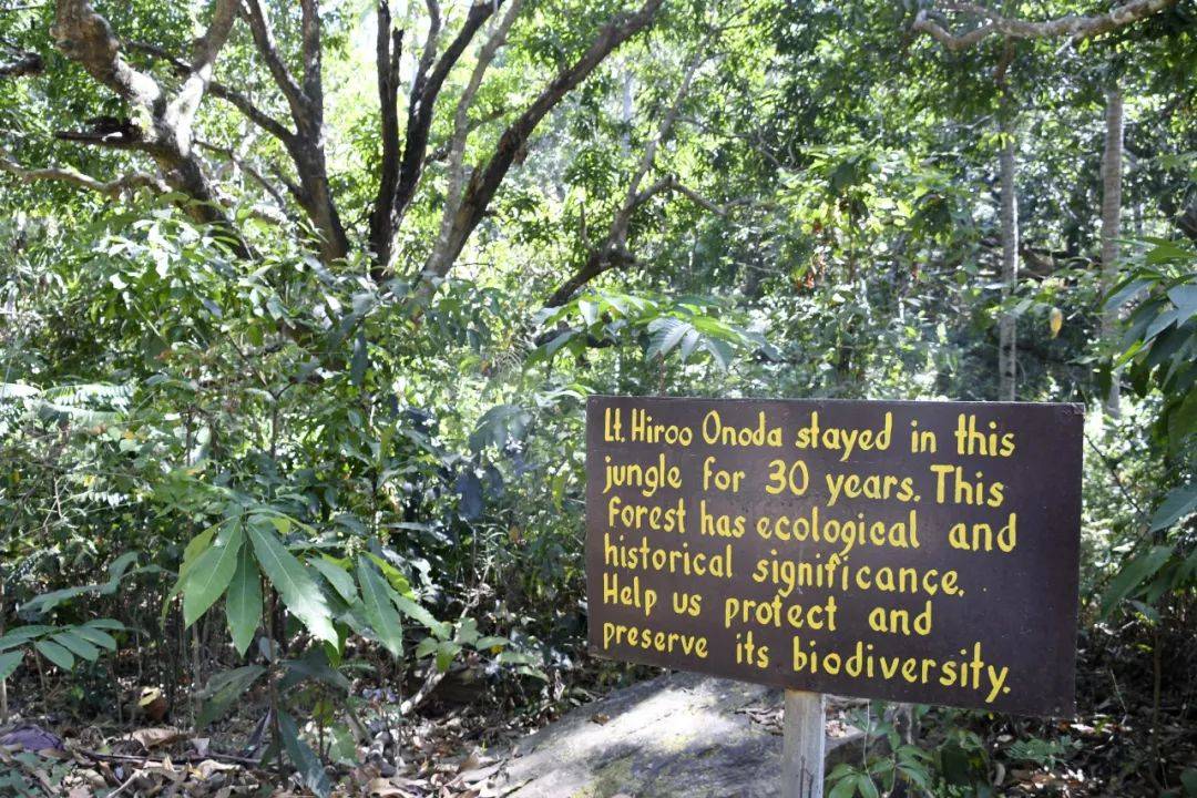 卢邦岛|倒数第二个投降的二战士兵，偷村民食物还和警察硬刚30年