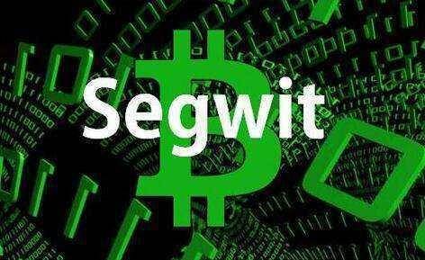 熊猫人科普：什么是隔离见证