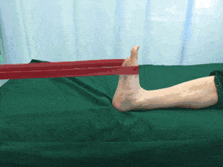 c46f1b67608b42c9b78c50145162ce9f.gif