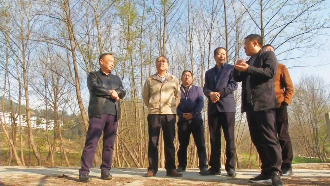 省水利厅党组成员,副厅长丁凡璋来我县调研