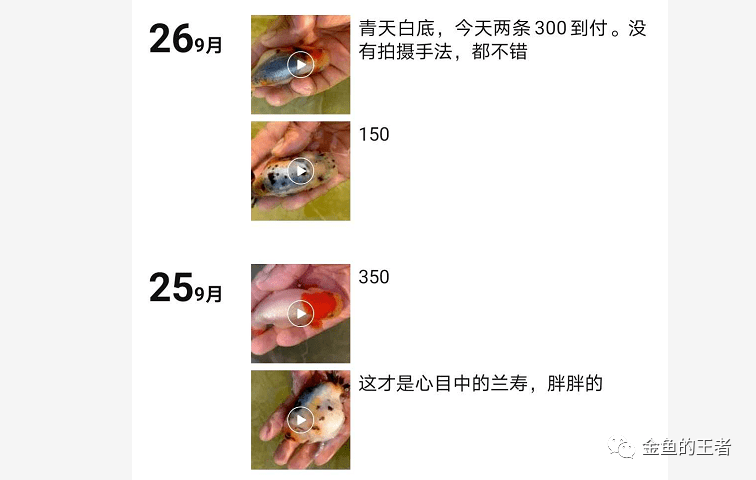 1bce1b641f984063829bb55a04b557f2.png
