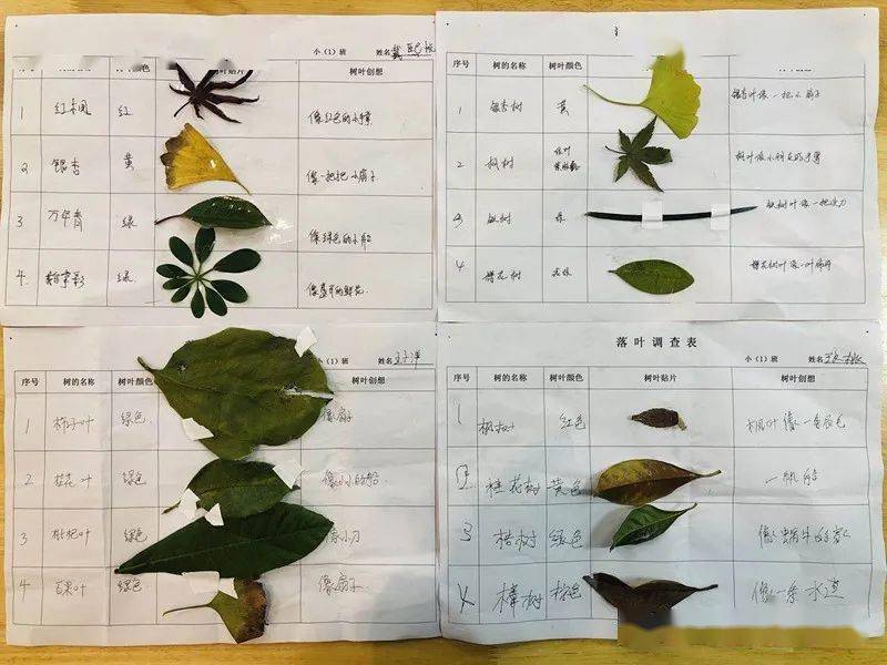 层林什么染成语_成语故事简笔画