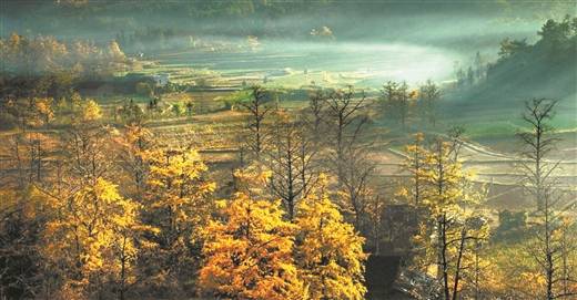 图为灵川县海洋乡小平乐村的秋日美景.阳成斌摄