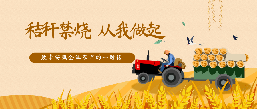 f29c3d12e7844340a9ebdb8502378c41.png