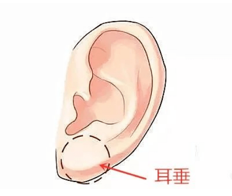 11aae8b9aeb447e081b3a25e57d9a82f.png