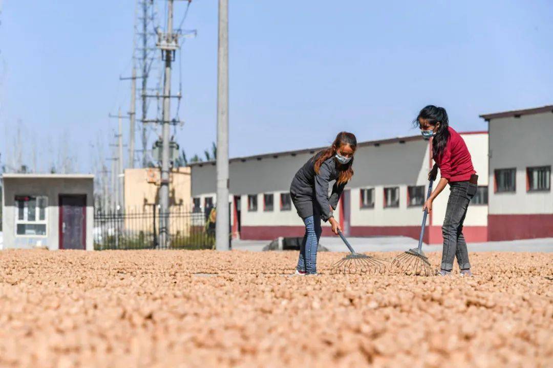 特别关注丨新疆实现贫困县全部摘帽_喀什地区