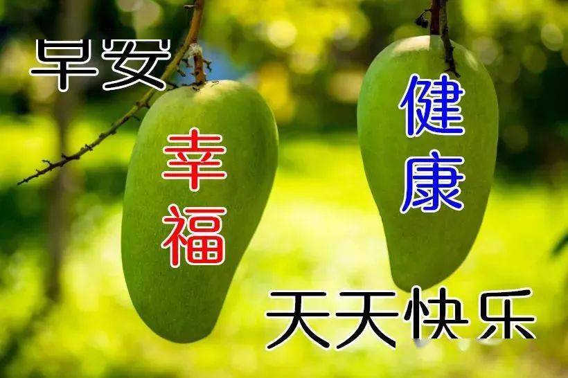 给朋友的早上好暖心祝福语 微信群发早安问候语图片