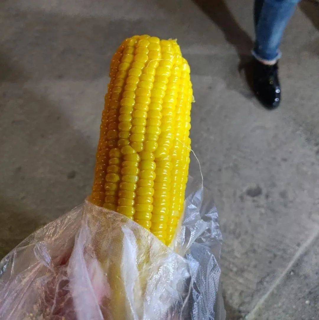 498670f7c5da4698be5066184dcca2f6.jpeg