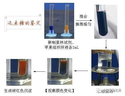 现用现配,且水浴加热颜色反应:还原糖 斐林试剂→砖红色沉淀还原糖的