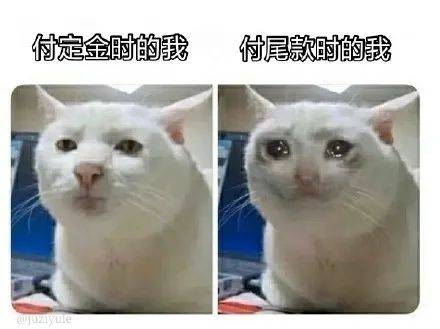 精华|惊了！小棕瓶平替竟然上位成功？