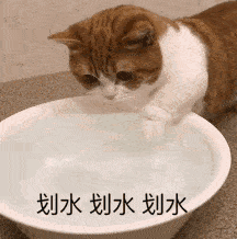 好人一生平安