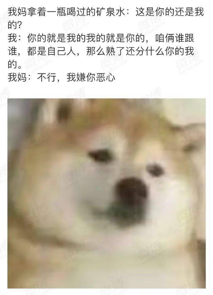 婆婆丁是什么梗啊 058874ab03c04ba9b2ffa7709da06852.jpeg