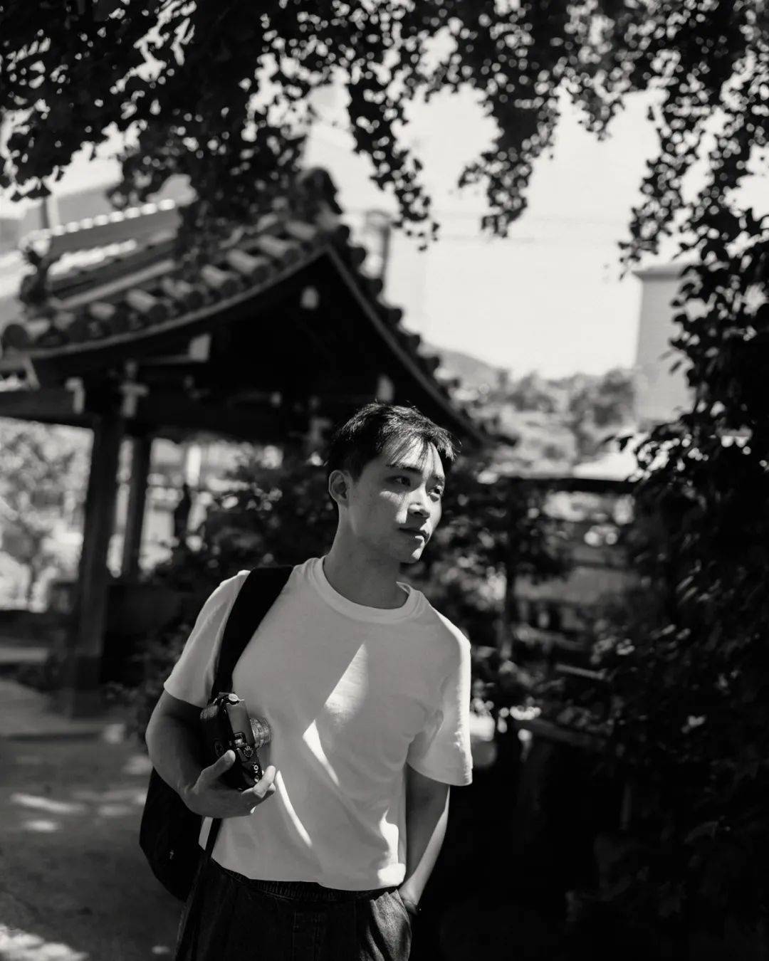 文章配图-71