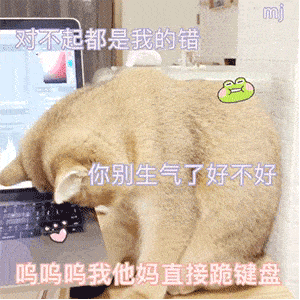 【沙雕猫表情包】猫猫动图表情包