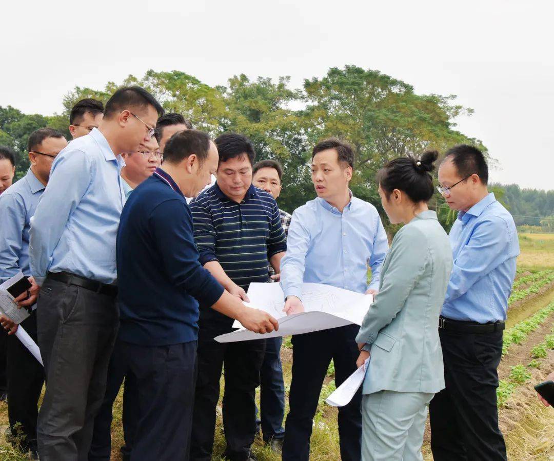 孙环志在调研合浦县文旅项目时要求要在保护中建设全力推动合浦文旅