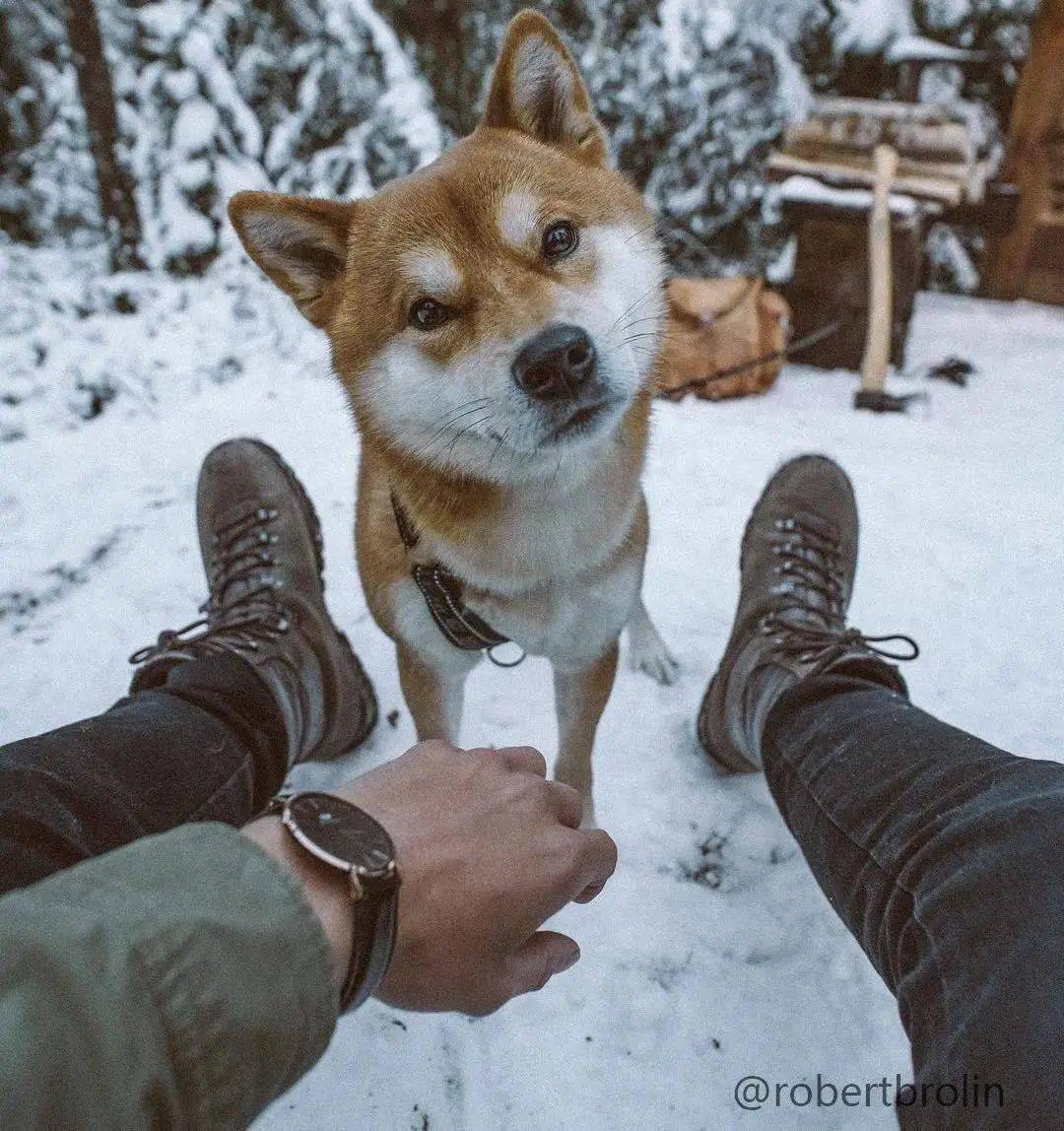 经典|DANIEL WELLINGTON ｜ 双11还可以这样“返场”？