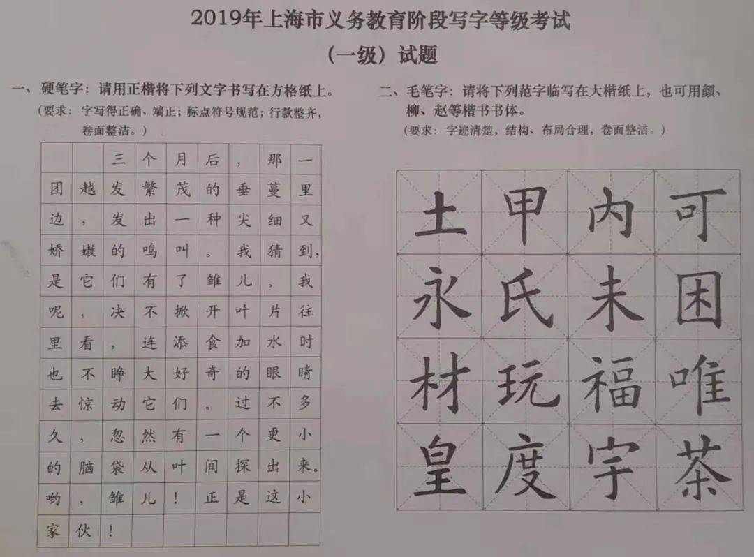 最强攻略 | 备战2020年写字等级考试!专访书法老师,备考必读!