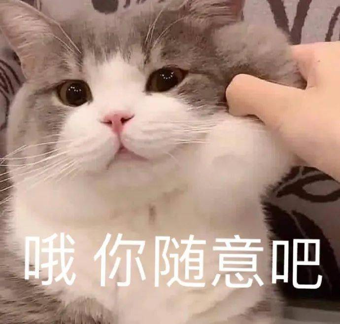 乖巧懂事_表情